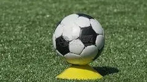 乐竞体育 资讯 125451 1r8