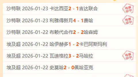 [德甲第19轮] 多特蒙德挑战云达不来梅